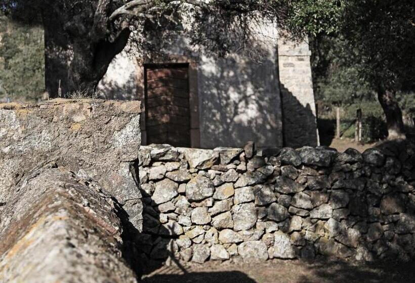 Residenza L 'alivetu