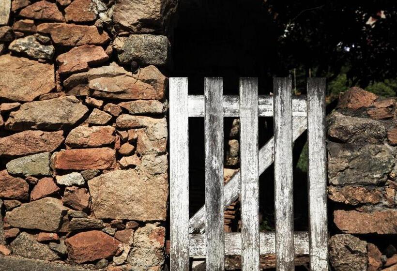 Residenza L 'alivetu