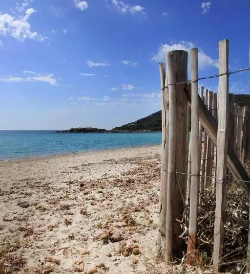 Residenza L 'alivetu