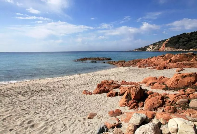 Residenza L 'alivetu