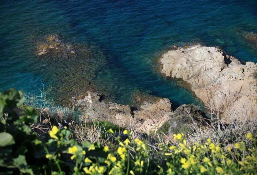 Residenza L 'alivetu