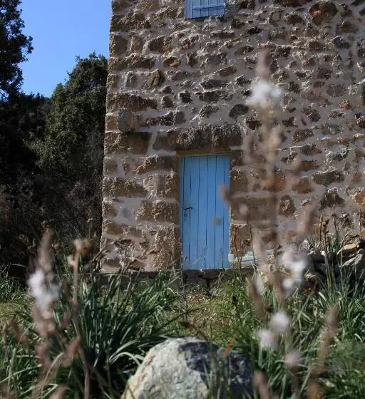 Residenza L 'alivetu