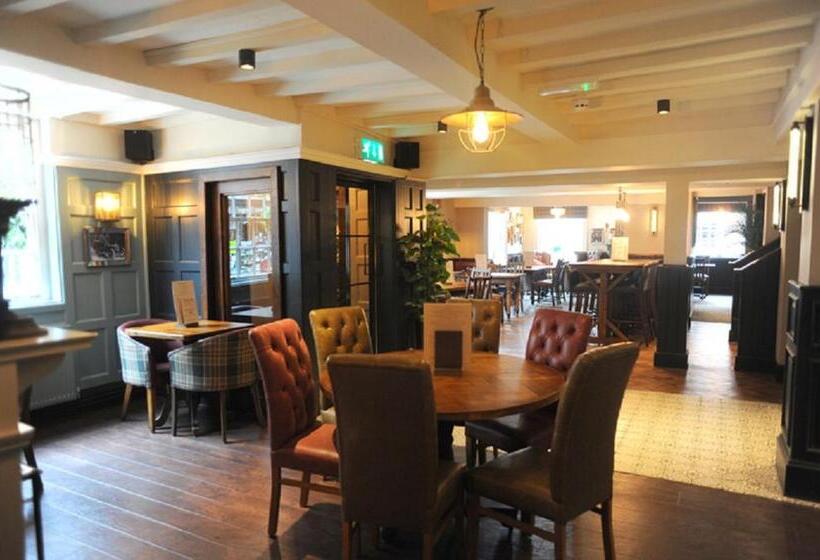 فندق صغير Angel @ Kingst