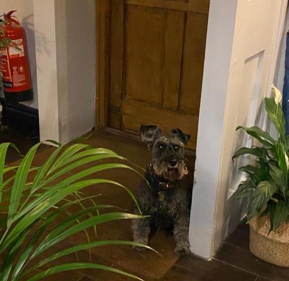 Ostello The Queen Matilda Country Rooms