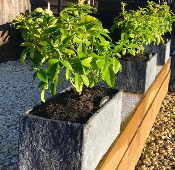 Ostello The Queen Matilda Country Rooms