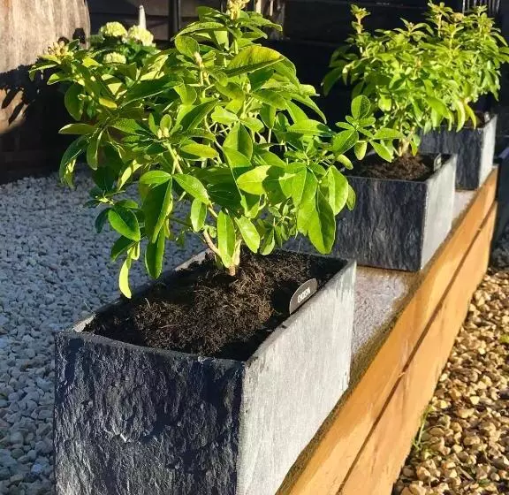 ユースホステル The Queen Matilda Country Rooms