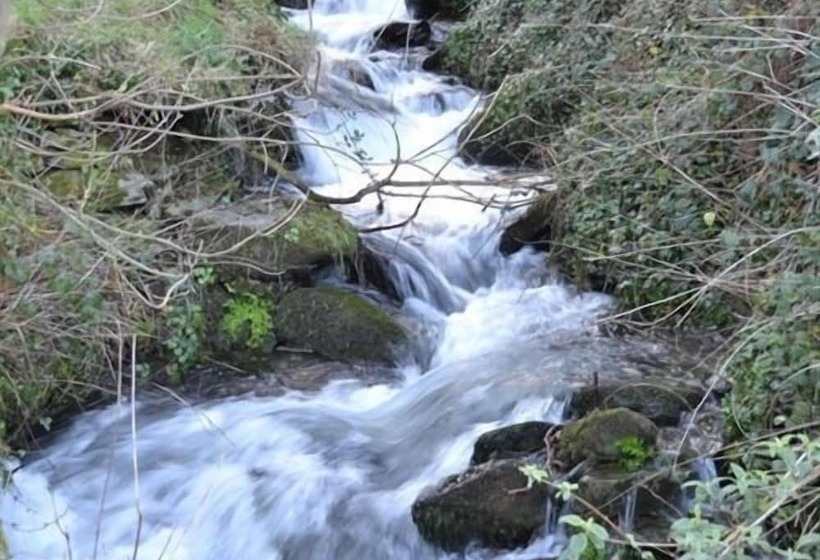 Albergue The Sandrock Lynton