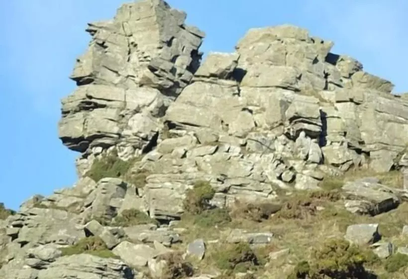 Alberg The Sandrock Lynton
