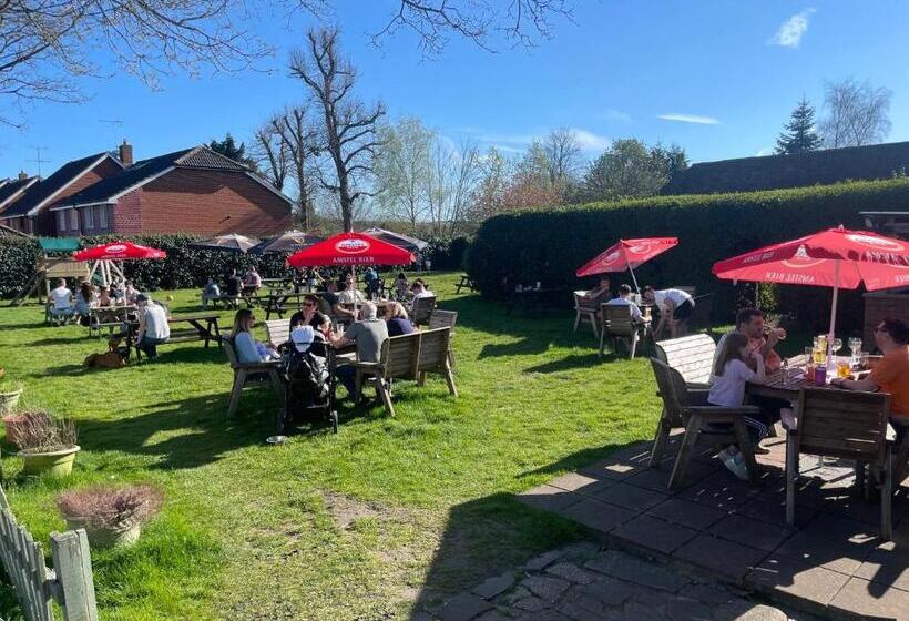 호스텔 White Hart