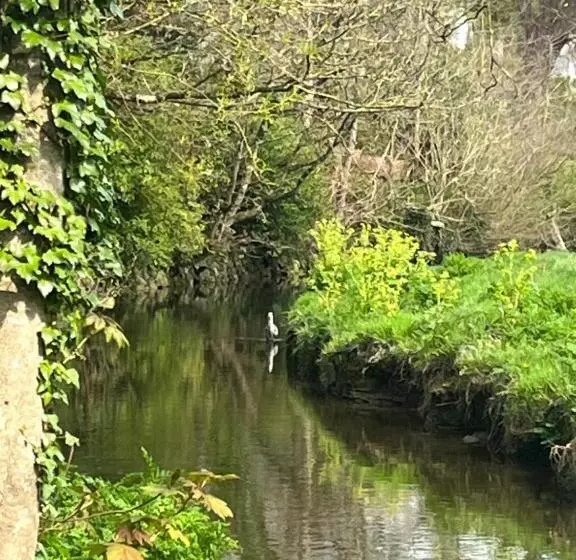 Castellor Bed & Breakfast