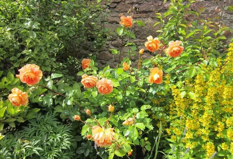 Majatalo Crawfords Guest House