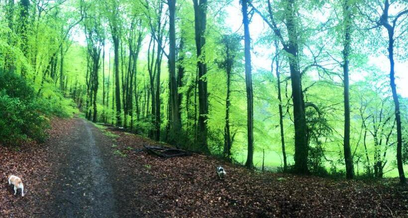 ペンション Greencourt Loft The Cotswold Way, Stroud