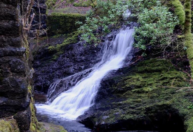 膳宿费 Afon Rhaiadr Country House