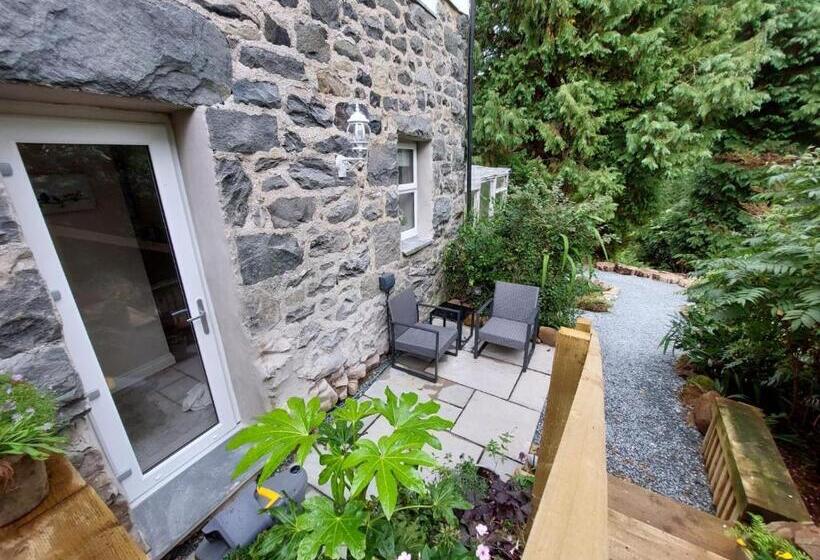 膳宿费 Afon Rhaiadr Country House