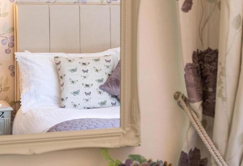 膳宿费 Afon Rhaiadr Country House