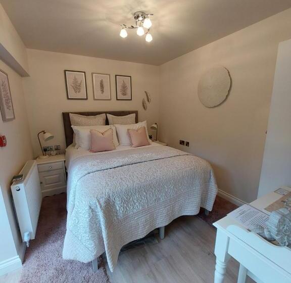 膳宿费 Afon Rhaiadr Country House