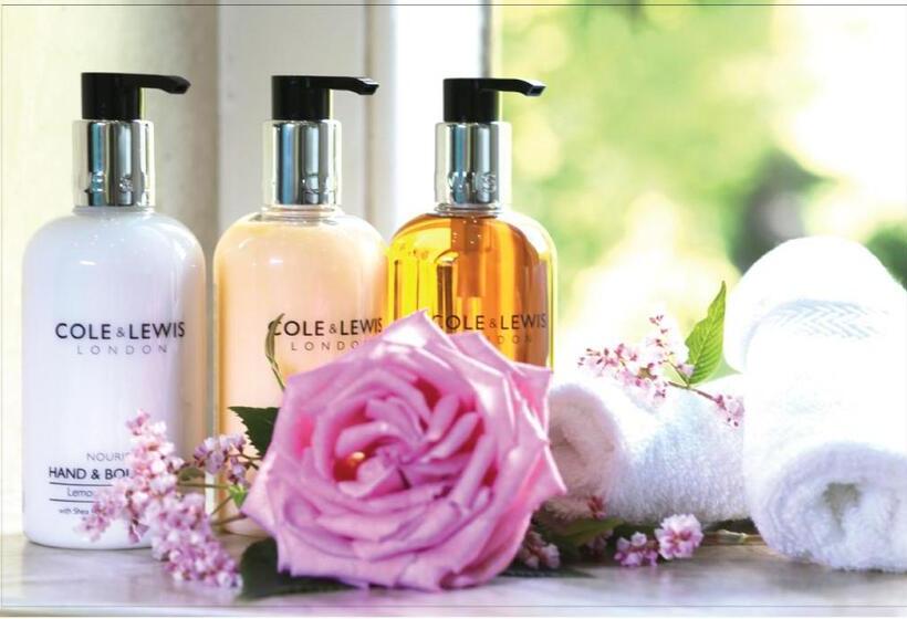 膳宿费 Afon Rhaiadr Country House