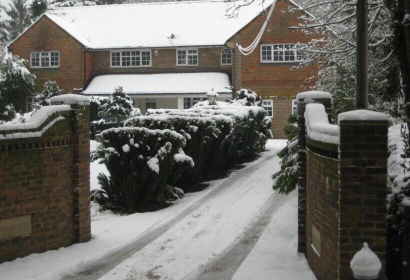 پانسیون Tanglewood Gatwick Bed & Breakfast