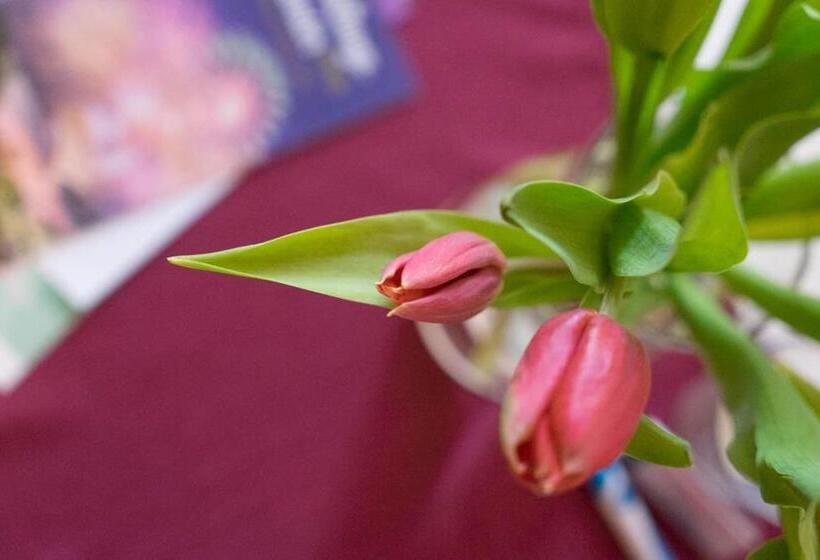 Общежитие Strandpension Mäder