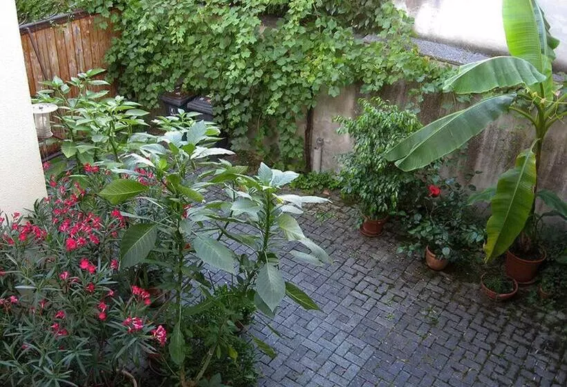 Die Sprachpension   The Language Guesthouse