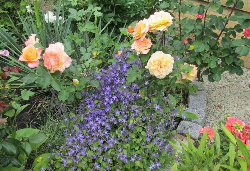 بنسيون Gästehaus Carstens