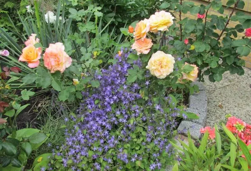 ペンション Gästehaus Carstens