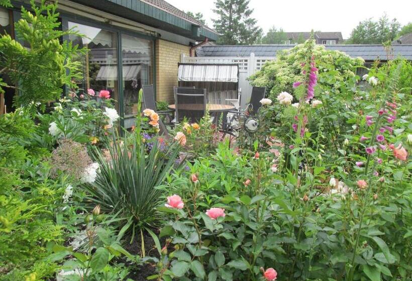 بنسيون Gästehaus Carstens