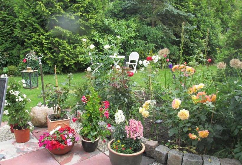 بنسيون Gästehaus Carstens