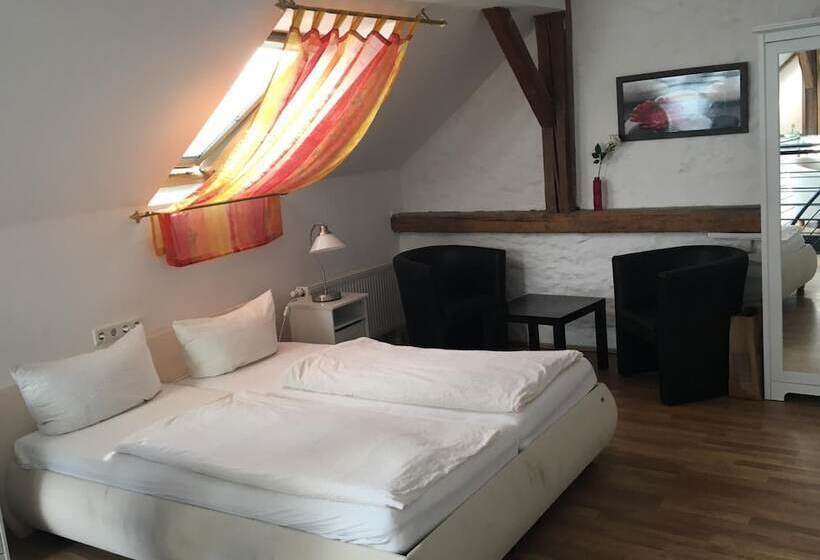 بنسيون Draiser Hof