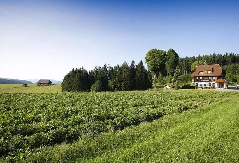 ペンション Gasthaus Schweizerhof