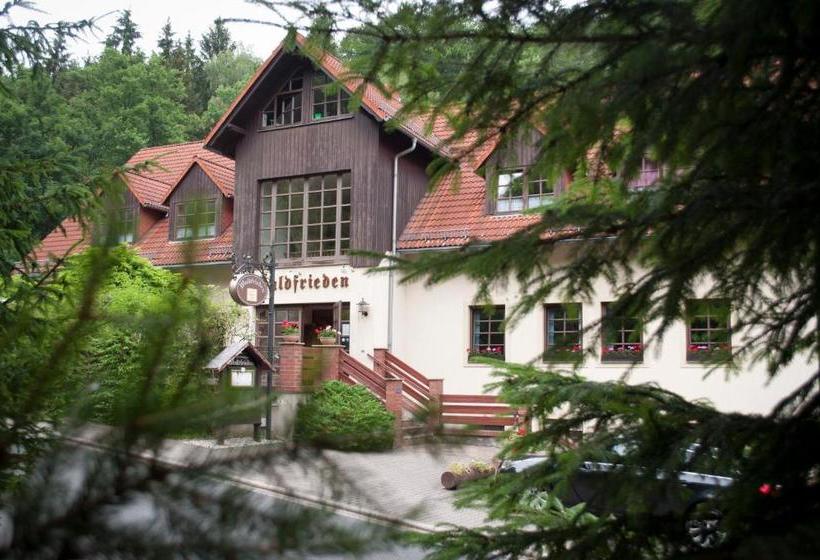 Пансион Waldfrieden Waldheim