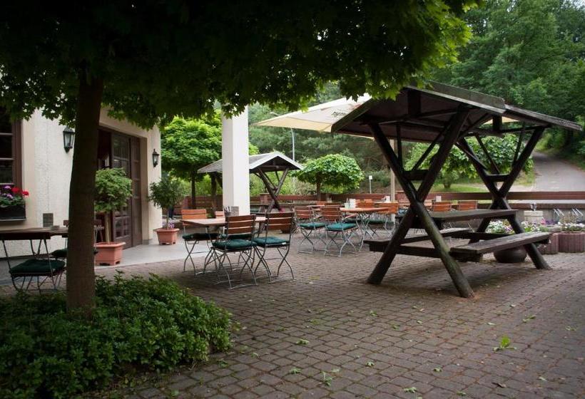 Пансион Waldfrieden Waldheim