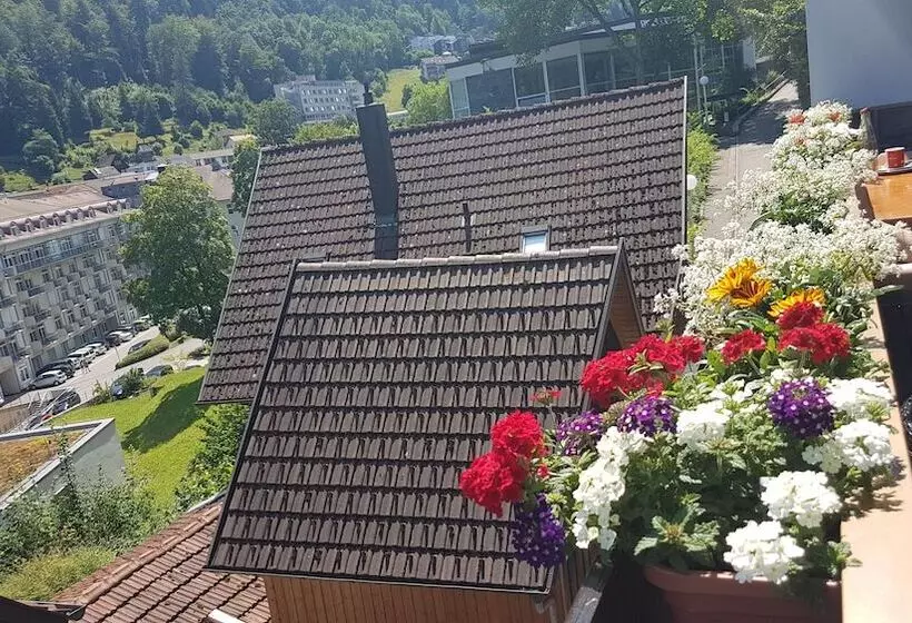 Pension Silberburg Bad Wildbad