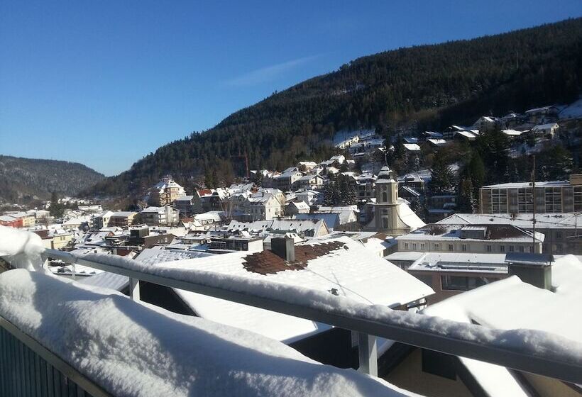 Pension Silberburg Bad Wildbad