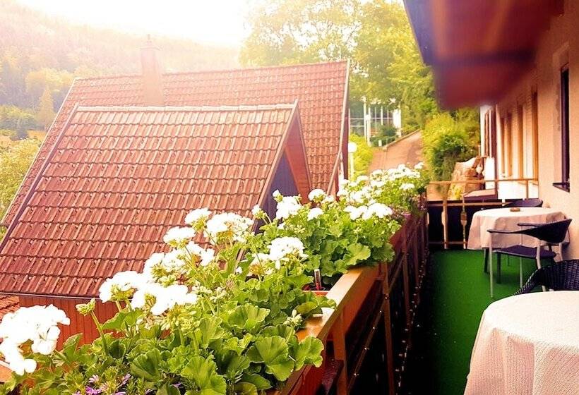 Pension Silberburg Bad Wildbad