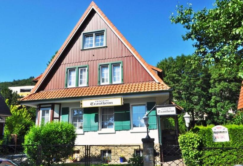Pension Trautheim Am Stadtpark