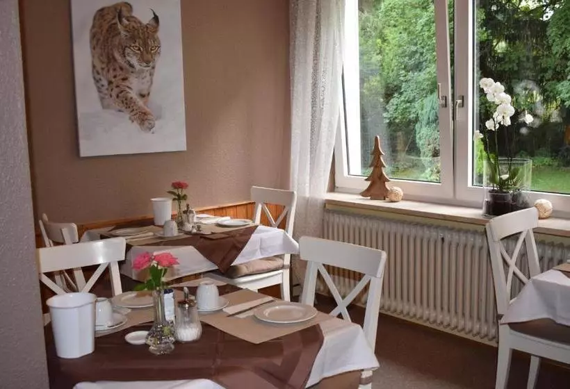 Pension Trautheim   Am Stadtpark