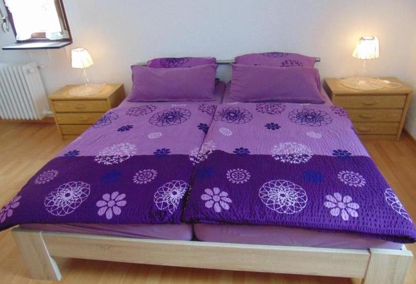 호스텔 Gasthaus Rebstock