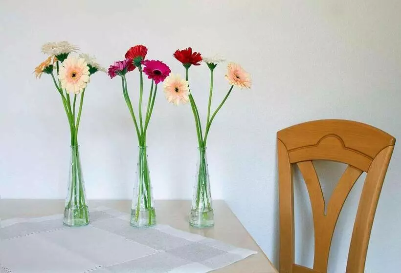 Majatalo Gästehaus Herrmann