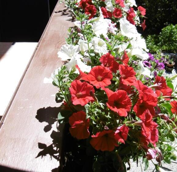 膳宿费 Haus Kehlstein