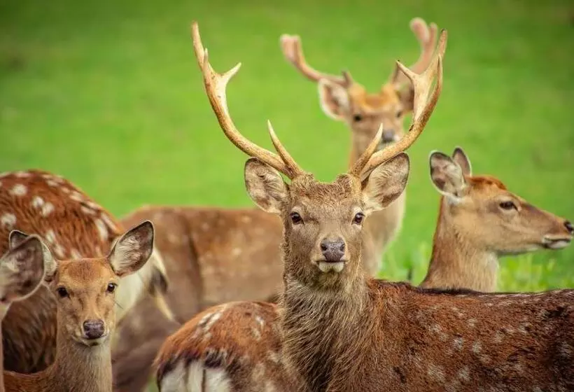 Retkeilymaja Gasthof Schneiderwirt, Kipfenberg Ot Hirnstetten