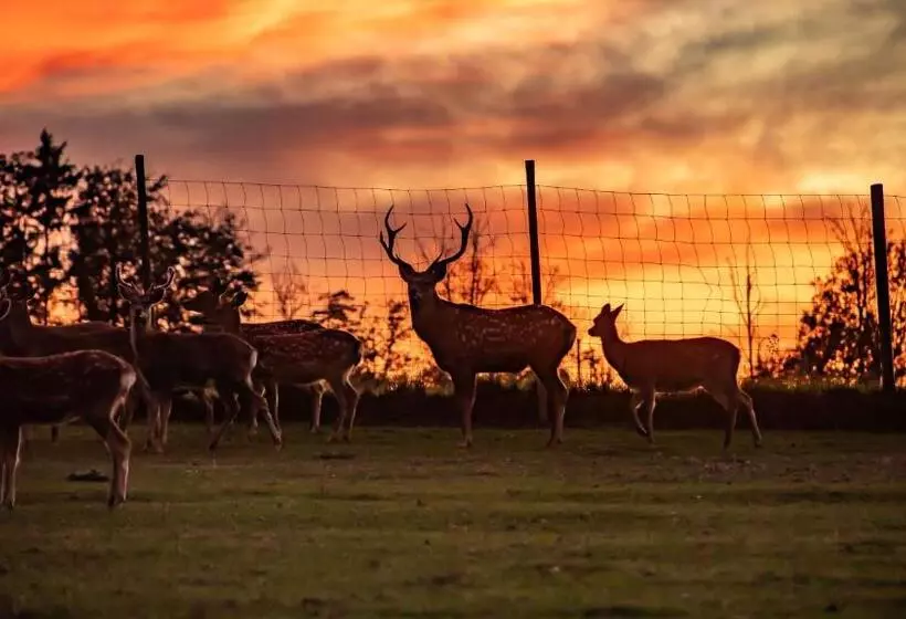 Retkeilymaja Gasthof Schneiderwirt, Kipfenberg Ot Hirnstetten