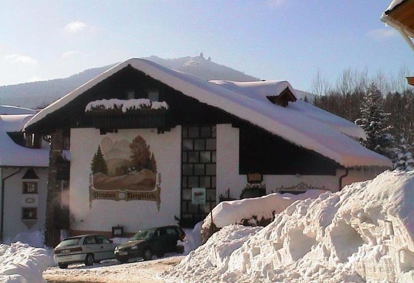 Pension Bergblick