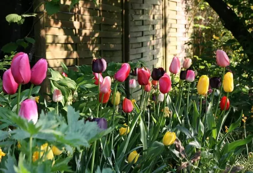 Majatalo Feriengut Bohn