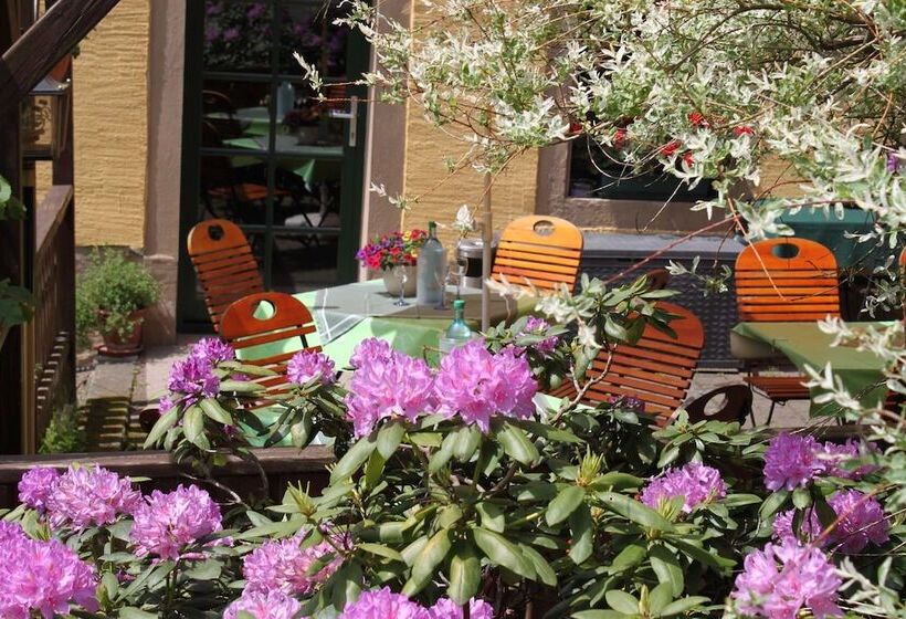 Пансион Gasthof Hertigswalde