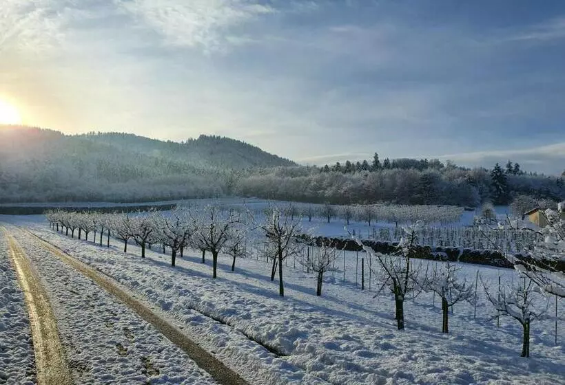 Majatalo Gästehaus Wörner