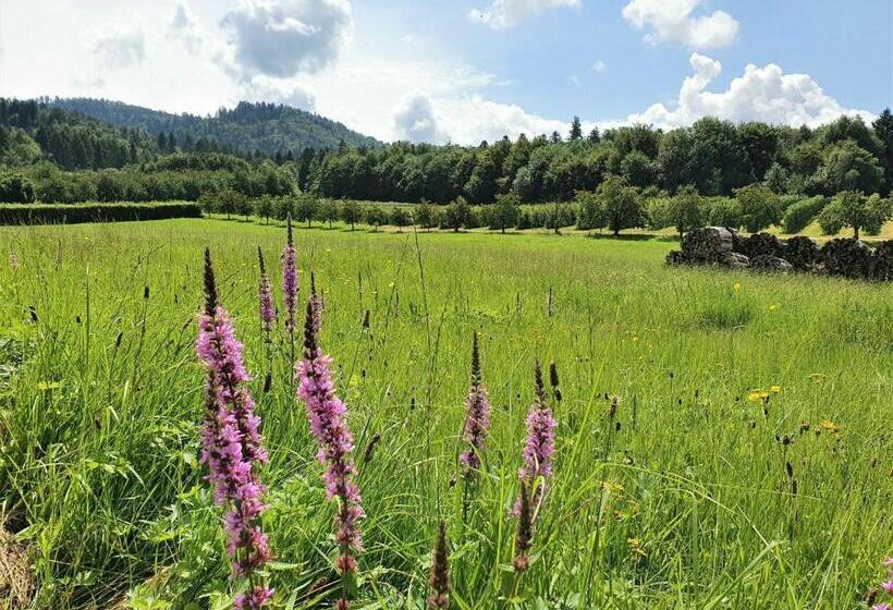 Pensão Gästehaus Wörner