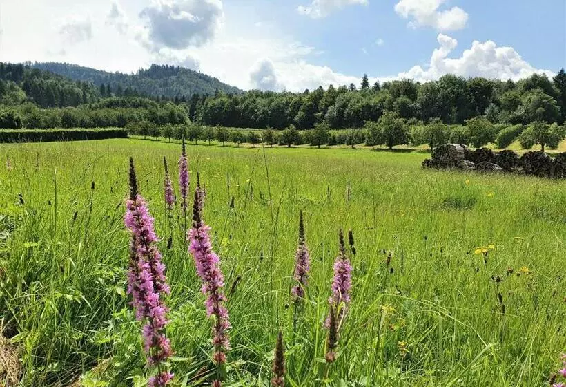 Majatalo Gästehaus Wörner