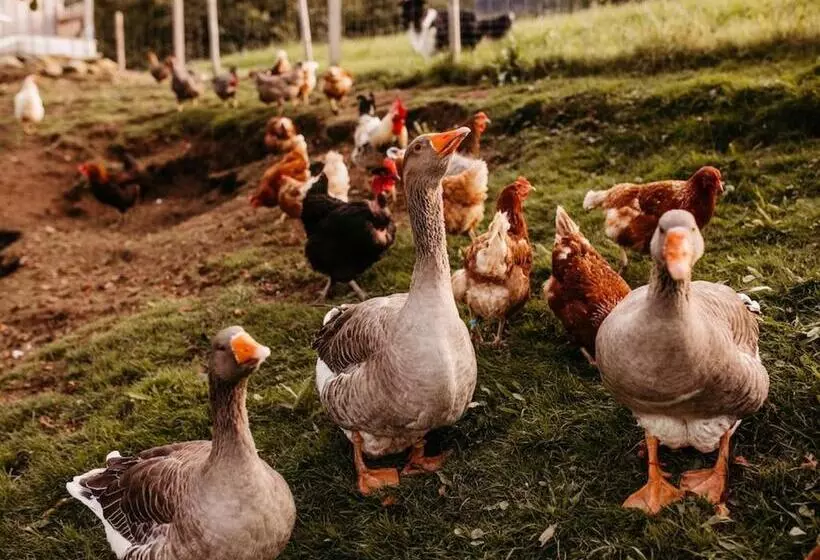 Majatalo Schiebenrothenhof