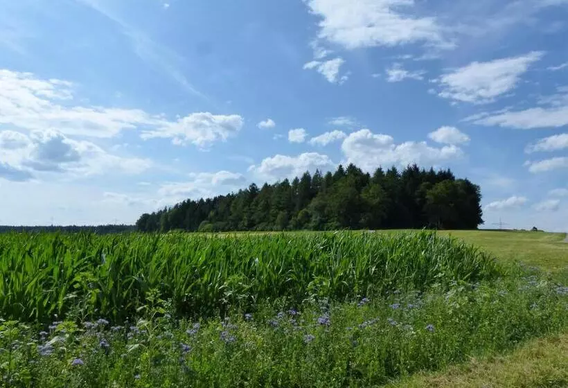 ユースホステル Landgasthaus Sonne
